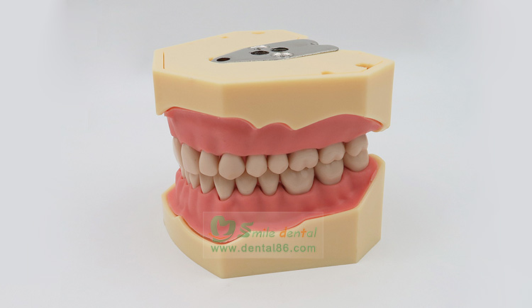 TM-A5 Standard Model, SF Style